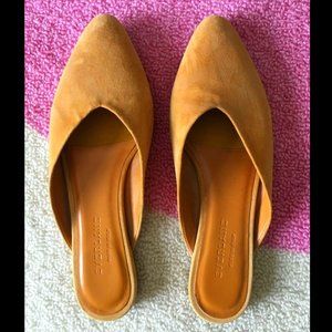 Everlane | The V Mule Mustard Yellow Suede